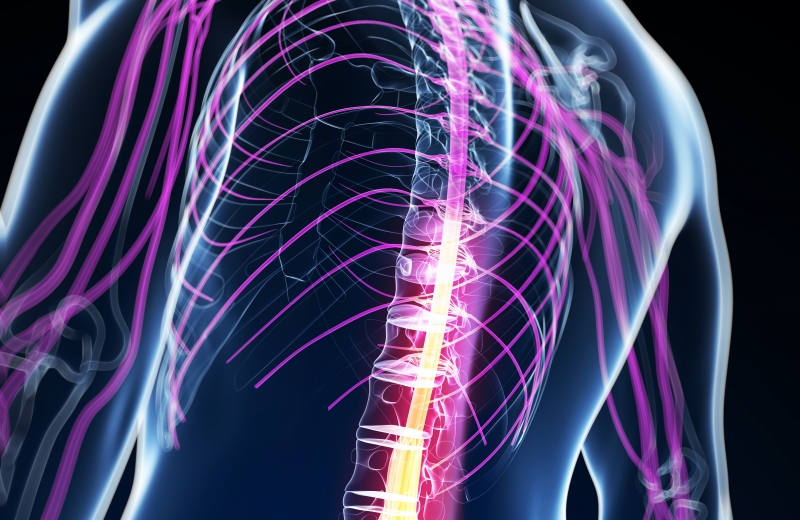 shutterstock_126578000